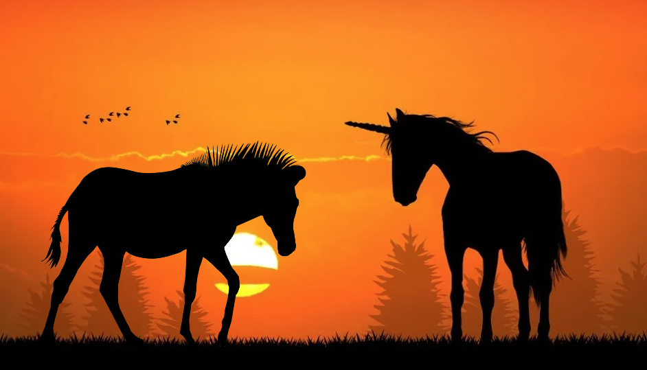 skan progetti positivi consulenza finanziaria skan progetti positivi consulenza finanziaria